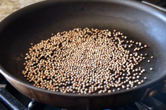 blog-coriander1