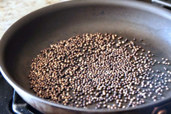 blog-coriander2