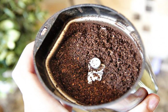blog-coriander3