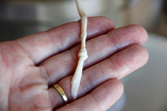 blog-knot